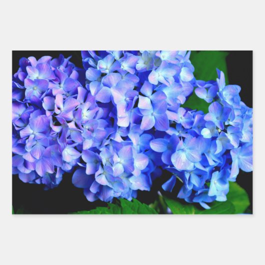 Elegantes lila Magenta Blumenhydrangea Geschenkpapier Set (Vorderseite)