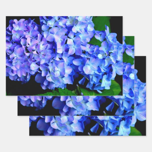 Elegantes lila Magenta Blumenhydrangea Geschenkpapier Set (Set)