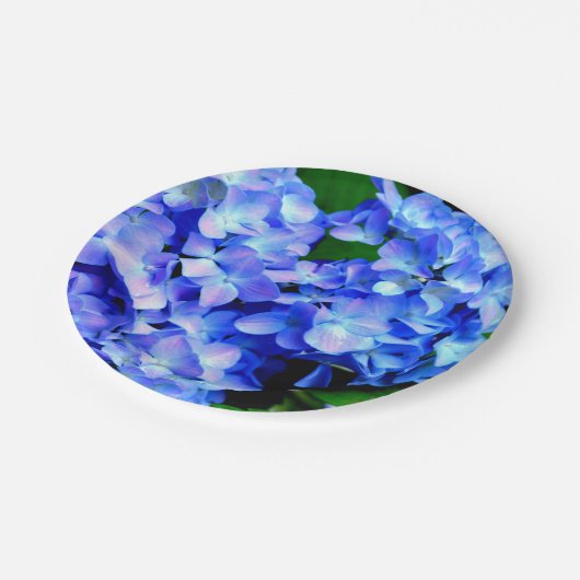 Elegantes lila Magenta Blumenhydrangea Pappteller (Schrägansicht)