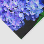 Elegantes lila Magenta Blumenhydrangea Seidenpapier (Ausschnitt)