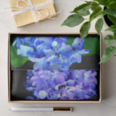 Elegantes lila Magenta Blumenhydrangea Seidenpapier (Geschenk)