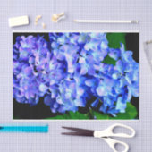 Elegantes lila Magenta Blumenhydrangea Seidenpapier (Handwerk)