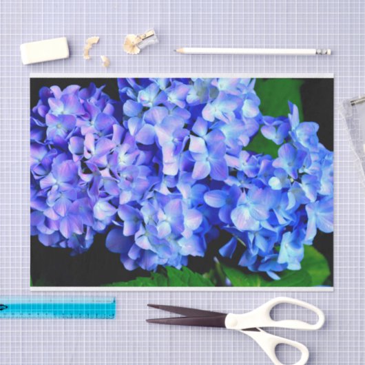 Elegantes lila Magenta Blumenhydrangea Seidenpapier (Handwerk)