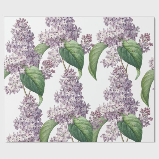 Elegantes lila Packpapier (Flach)