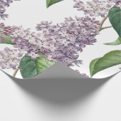 Elegantes lila Packpapier (Ecke)