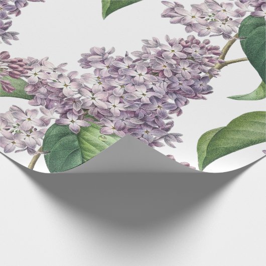 Elegantes lila Packpapier (Ecke)