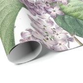 Elegantes lila Packpapier (Rolleneckpunkt)