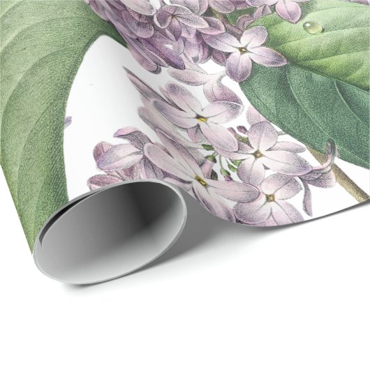 Elegantes lila Packpapier (Rolleneckpunkt)