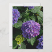 Elegantes lila, rosafarbenes Brautparty mit Hydran Einladung (Rückseite)