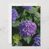 Elegantes lila, rosafarbenes Brautparty mit Hydran Einladung (Rückseite)