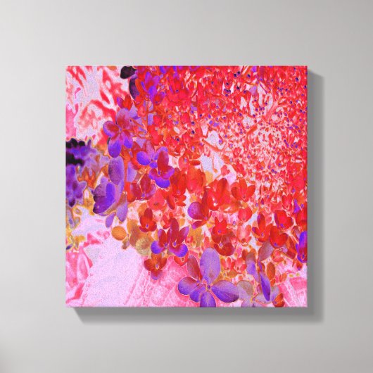 Elegantes Lila und Orange Limelight Hydrangea Leinwanddruck (Vorderseite)