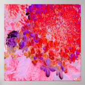 Elegantes Lila und Orange Limelight Hydrangea Poster (Vorne)