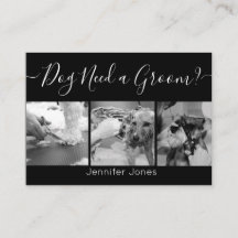 Elegantes Logo für die Grooming-Darstellung von Sc