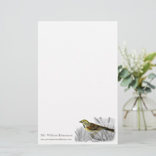 Elegantes männliches gelbes Vogel Audubon Briefpapier (Stehend Vorderseite)