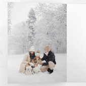 Elegantes modernes botanisches Foto-Silber Dreifach Gefaltete Karte (Innen Erste Seite)