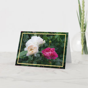 Elegantes, modernes Cream Pink Roses Foto Goldener Karte
