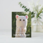 Elegantes modernes, einfaches Personalisiertes Fot Postkarte (Stehend Vorderseite)