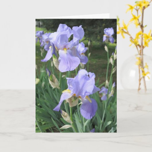 Elegantes, modernes Lila Iris Blume Foto wird gut Karte (Gelbe Blume)