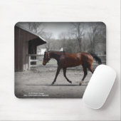 Elegantes Mousepad (Mit Mouse)