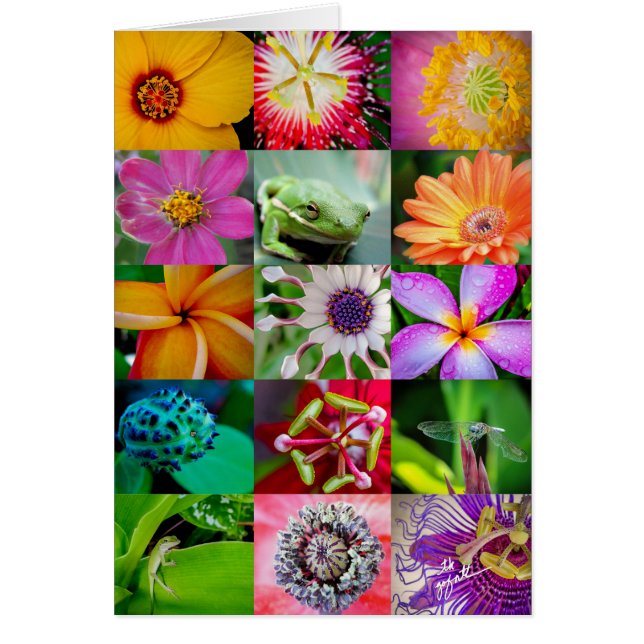 Elegantes Muster für Blume und Kreaturen (Vorne)