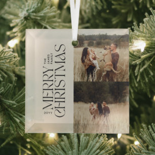 Elegantes natürliches Blattwerk, modern, minimalis Ornament Aus Glas