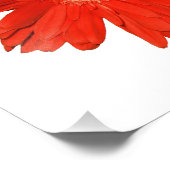 Elegantes Orange Daisy Foto Print (Ecke)