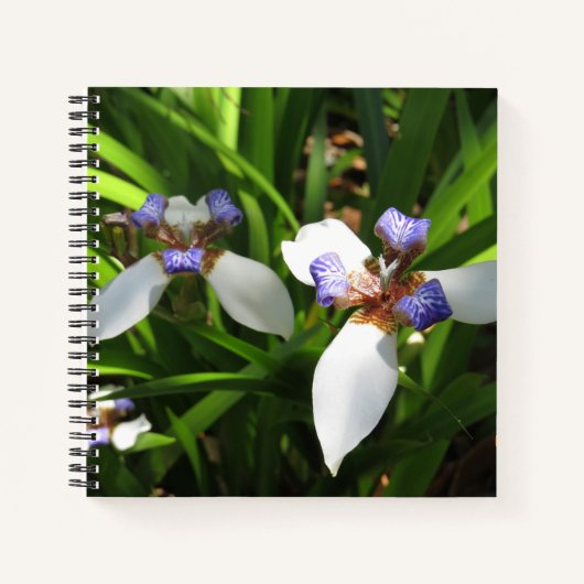 Elegantes Orchid Hard Cover Journal Notizblock (Vorderseite)