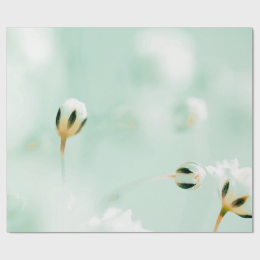 Elegantes Papier für Blumendruck Geschenkpapier (Flach)