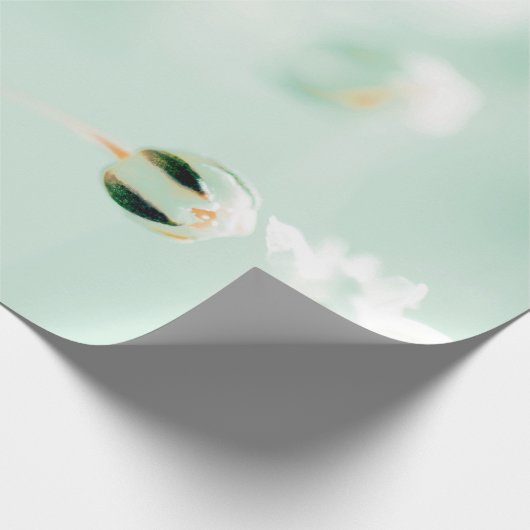 Elegantes Papier für Blumendruck Geschenkpapier (Ecke)