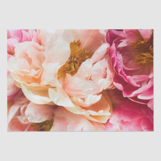 Elegantes Pink & Peach Peonies Tissue Seidenpapier (Vorderseite)