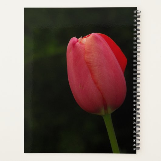 Elegantes Pink Tulip Foto Script Personalisiert Planer (Rückseite)