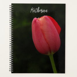 Elegantes Pink Tulip Foto Script Personalisiert Planer