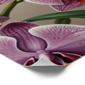 Elegantes Plakat der Blumen (Ecke)