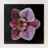 Elegantes Poster der botanischen Orchideensammlung Puzzle (Horizontal)