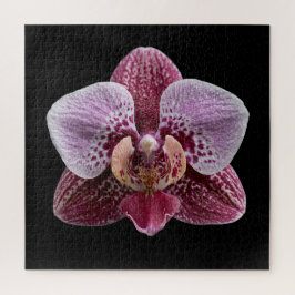 Elegantes Poster der botanischen Orchideensammlung Puzzle