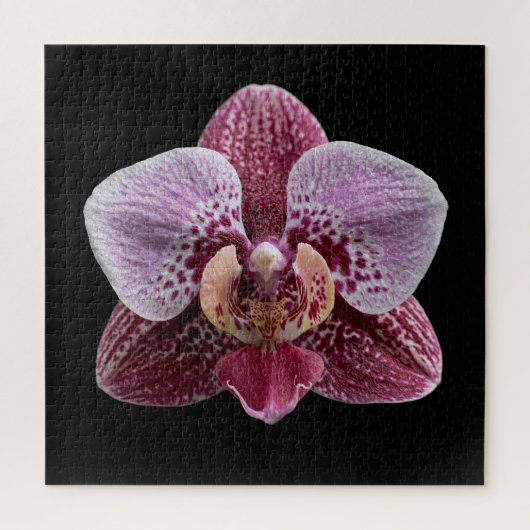 Elegantes Poster der botanischen Orchideensammlung Puzzle (Vertikal)