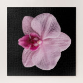 Elegantes Poster der botanischen Orchideensammlung Puzzle (Horizontal)
