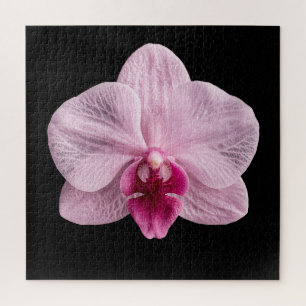 Elegantes Poster der botanischen Orchideensammlung Puzzle
