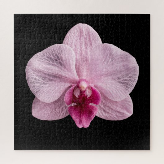Elegantes Poster der botanischen Orchideensammlung Puzzle (Vertikal)