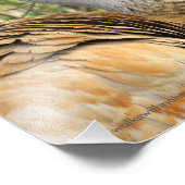 Elegantes Profil eines großen Sandhügelkrans Fotodruck (Ecke)