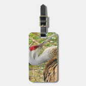 Elegantes Profil eines großen Sandhügelkrans Gepäckanhänger (Vorderseite vertikal)