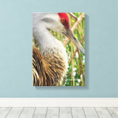 Elegantes Profil eines großen Sandhügelkrans Leinwanddruck (Insitu (Holzboden))