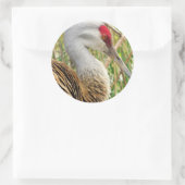 Elegantes Profil eines großen Sandhügelkrans Runder Aufkleber (Tasche)