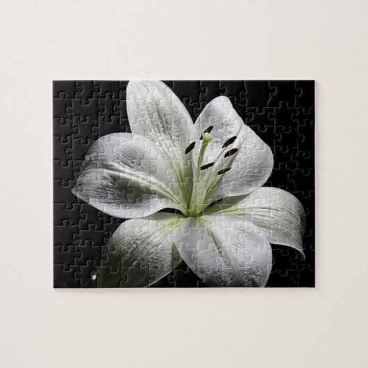 Elegantes Puzzle (Horizontal)