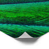 Elegantes Quetzal-Federdesign Poster (Ecke)