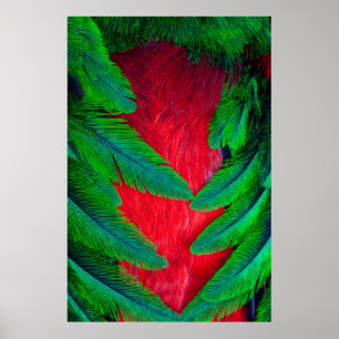 Elegantes Quetzal-Federdesign Poster