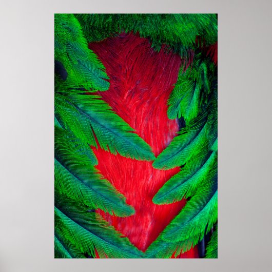 Elegantes Quetzal-Federdesign Poster (Vorne)