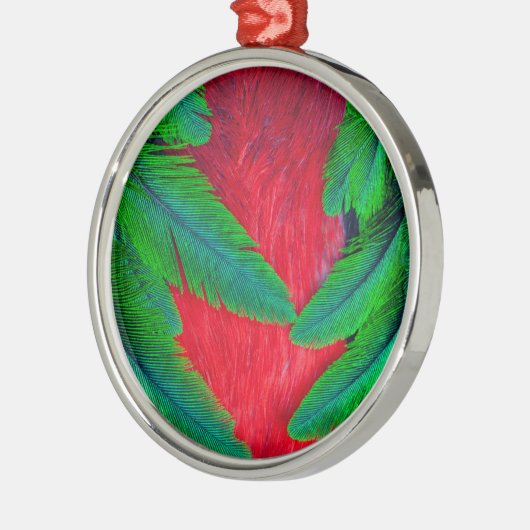 Elegantes Quetzal-Federdesign Silbernes Ornament (Links)