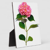 Elegantes rosa, blumenrosa Hydrangea Fotoplatte (Seite)