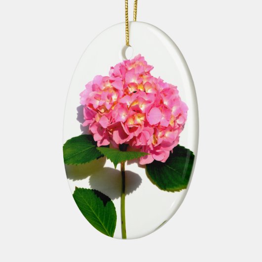 Elegantes rosa, blumenrosa Hydrangea Keramikornament (Links)